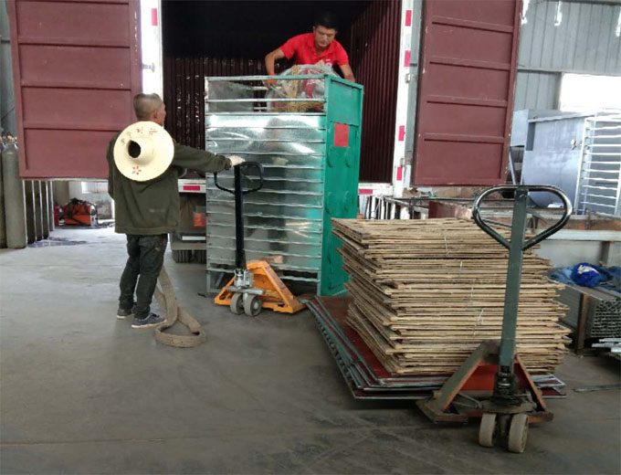 食用菌采收技能你知道多少？逸村機(jī)械為您盤(pán)點(diǎn)整合