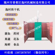 奔走相告!春夏之際,毒蘑橫生,切勿誤食