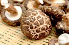 隨縣縣長：香菇外貿(mào)出口存壓力，積極拓展國內(nèi)市場(chǎng)